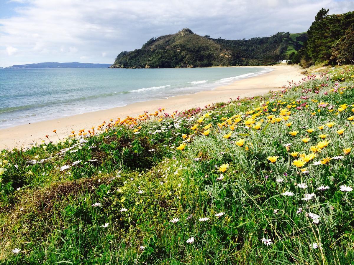 Taigh Na Mara Bed And Breakfast Whitianga Zewnętrze zdjęcie