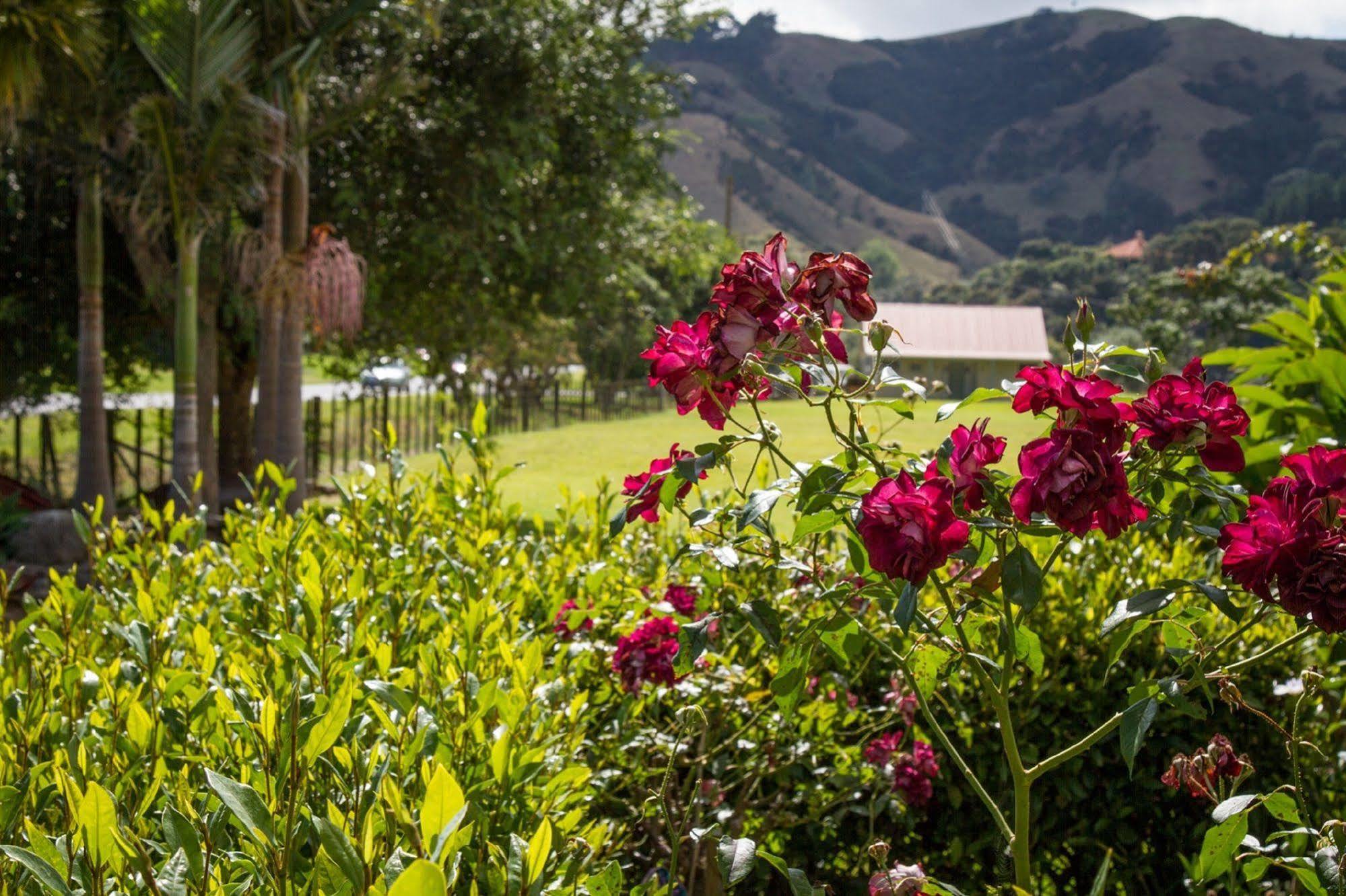 Taigh Na Mara Bed And Breakfast Whitianga Zewnętrze zdjęcie